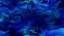 Resonance 6