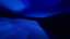 Transcendent 05