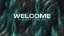 Wondrous Welcome Alt